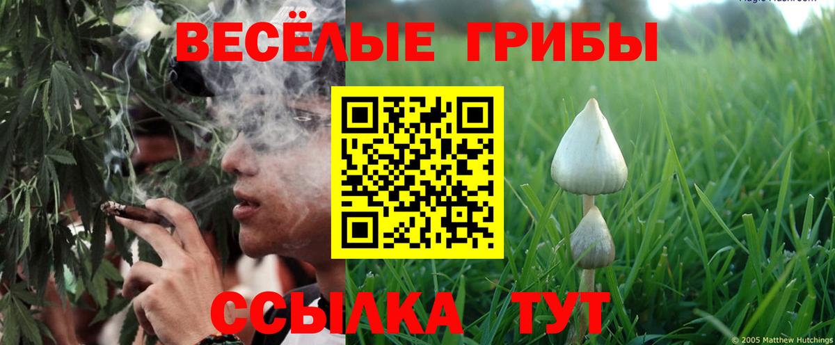 Псилоцибиновые грибы GOLDEN TEACHER Каменск-Шахтинский