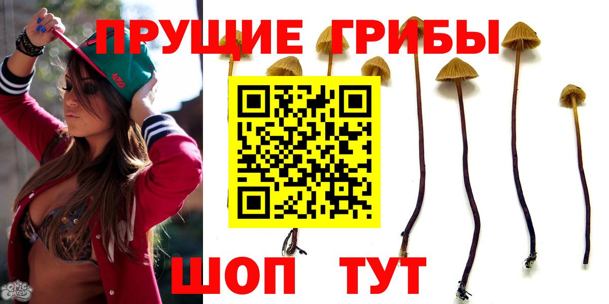 Псилоцибиновые грибы Psilocybine cubensis  Вход с VPN  Каменск-Шахтинский 